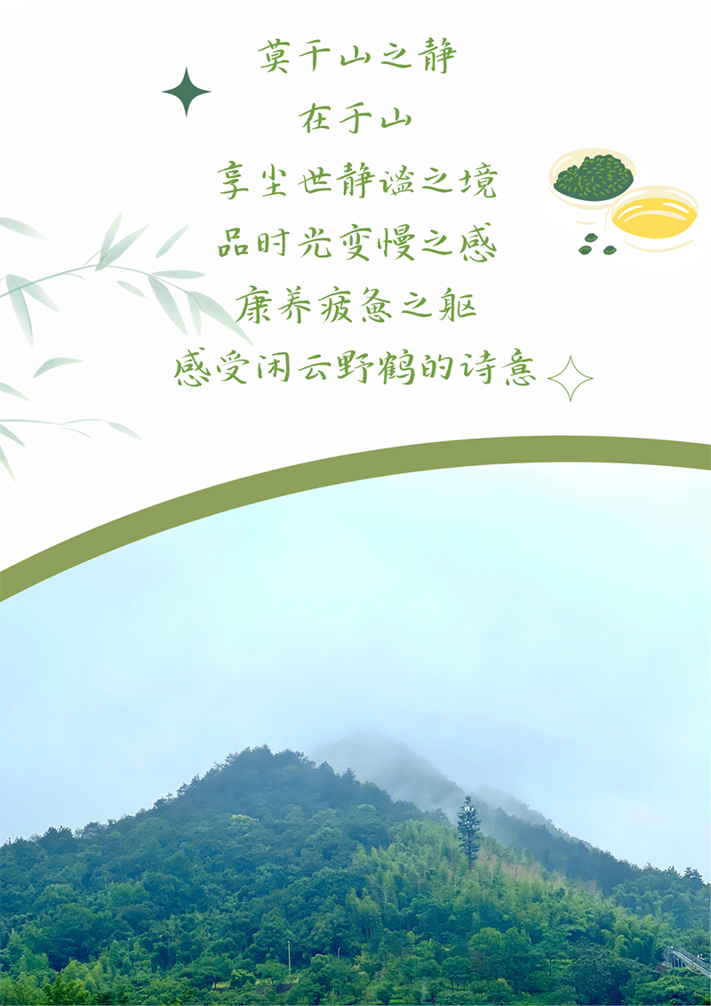 心心念廿 相伴凯时官方 | 与德清相约 贺廿载诞辰