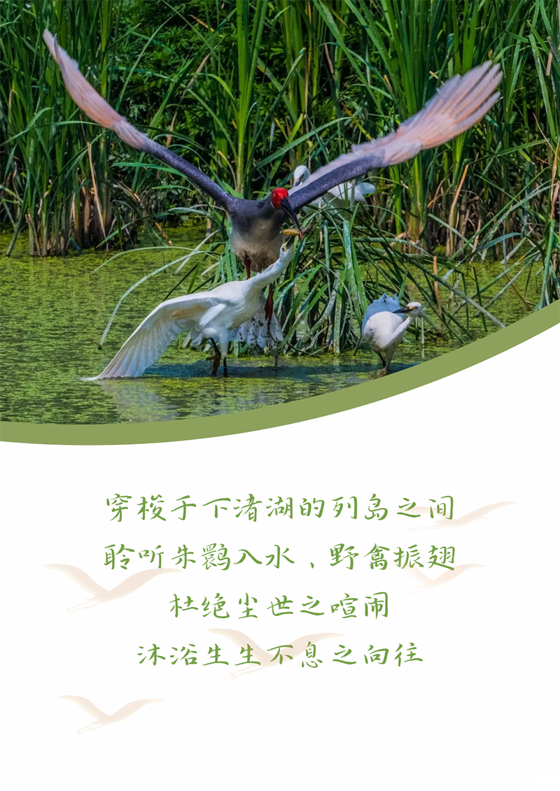 心心念廿 相伴凯时官方 | 与德清相约 贺廿载诞辰